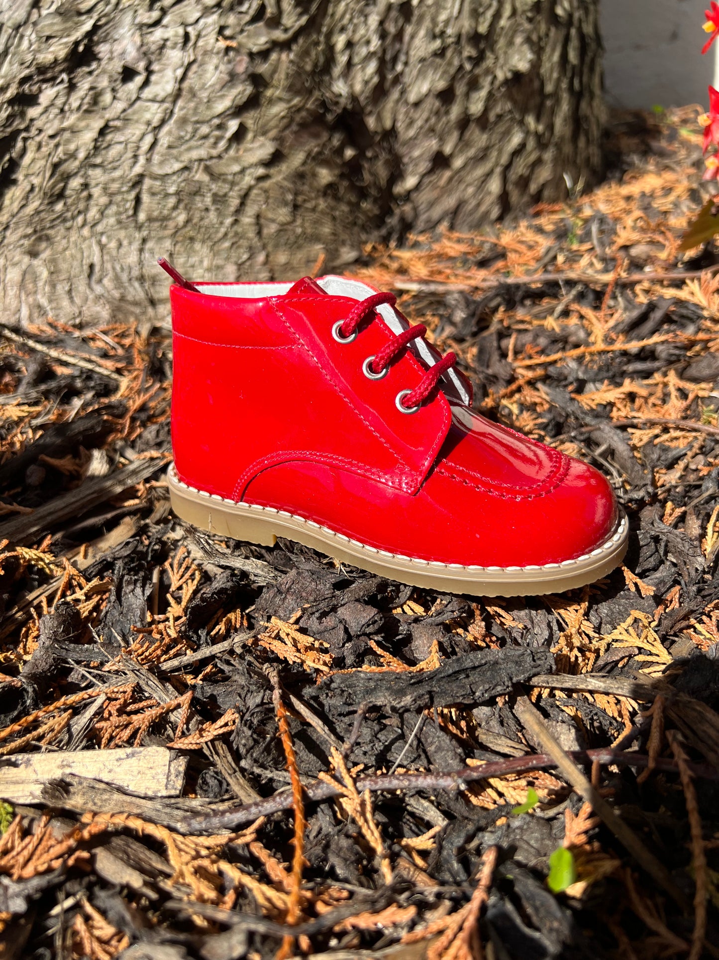 222325 Red Lace Boots By Andanines