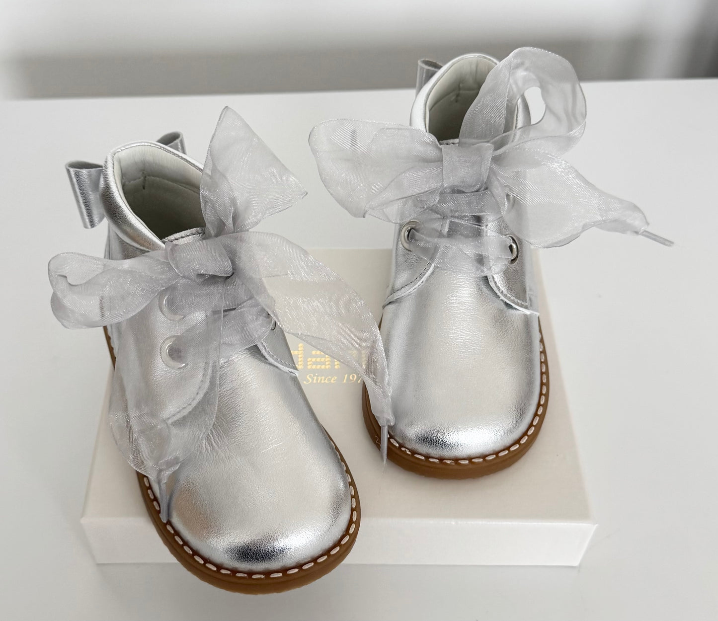 Andanines Silver Boots