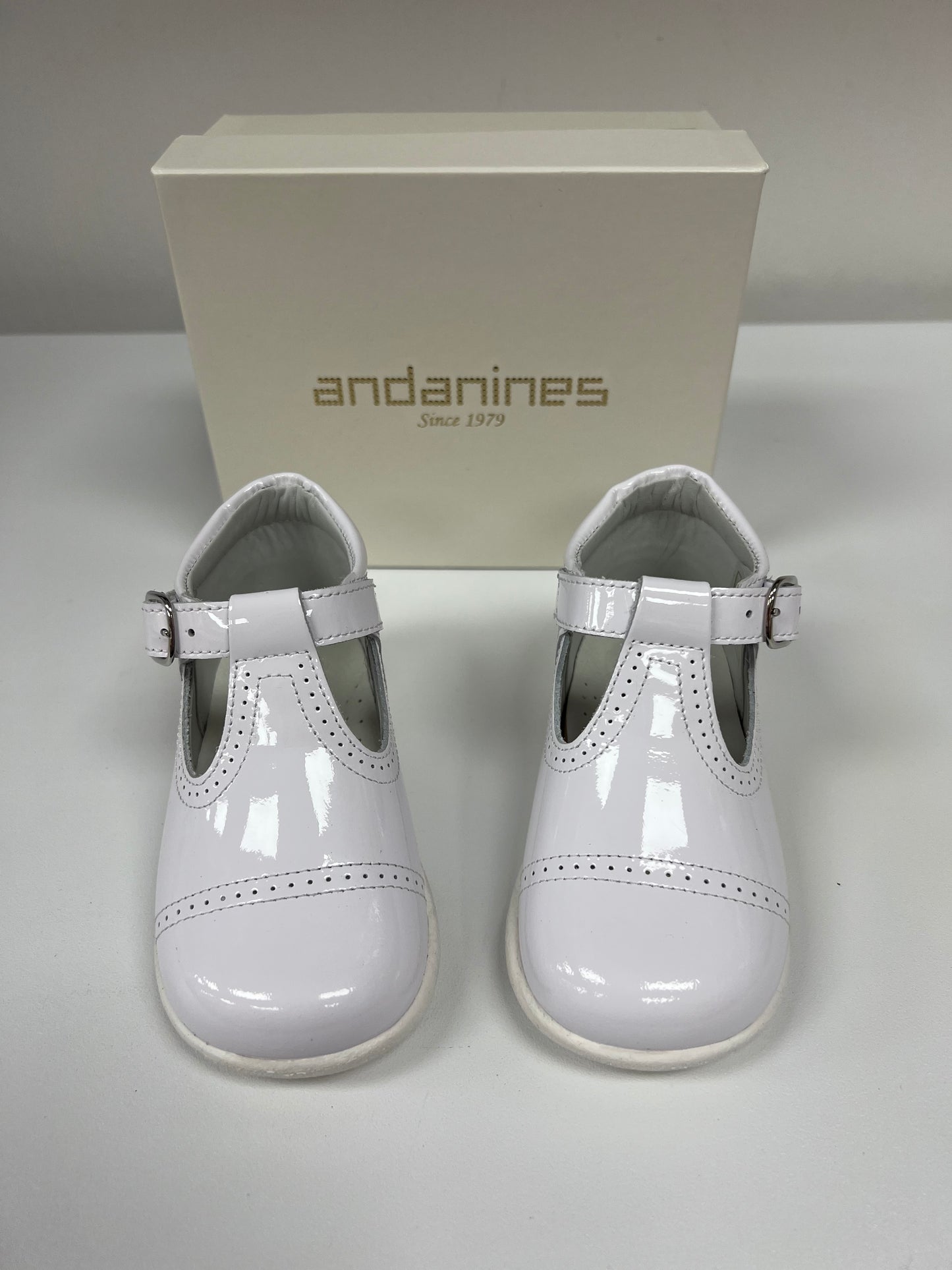 231289 White T-Bars Andanines